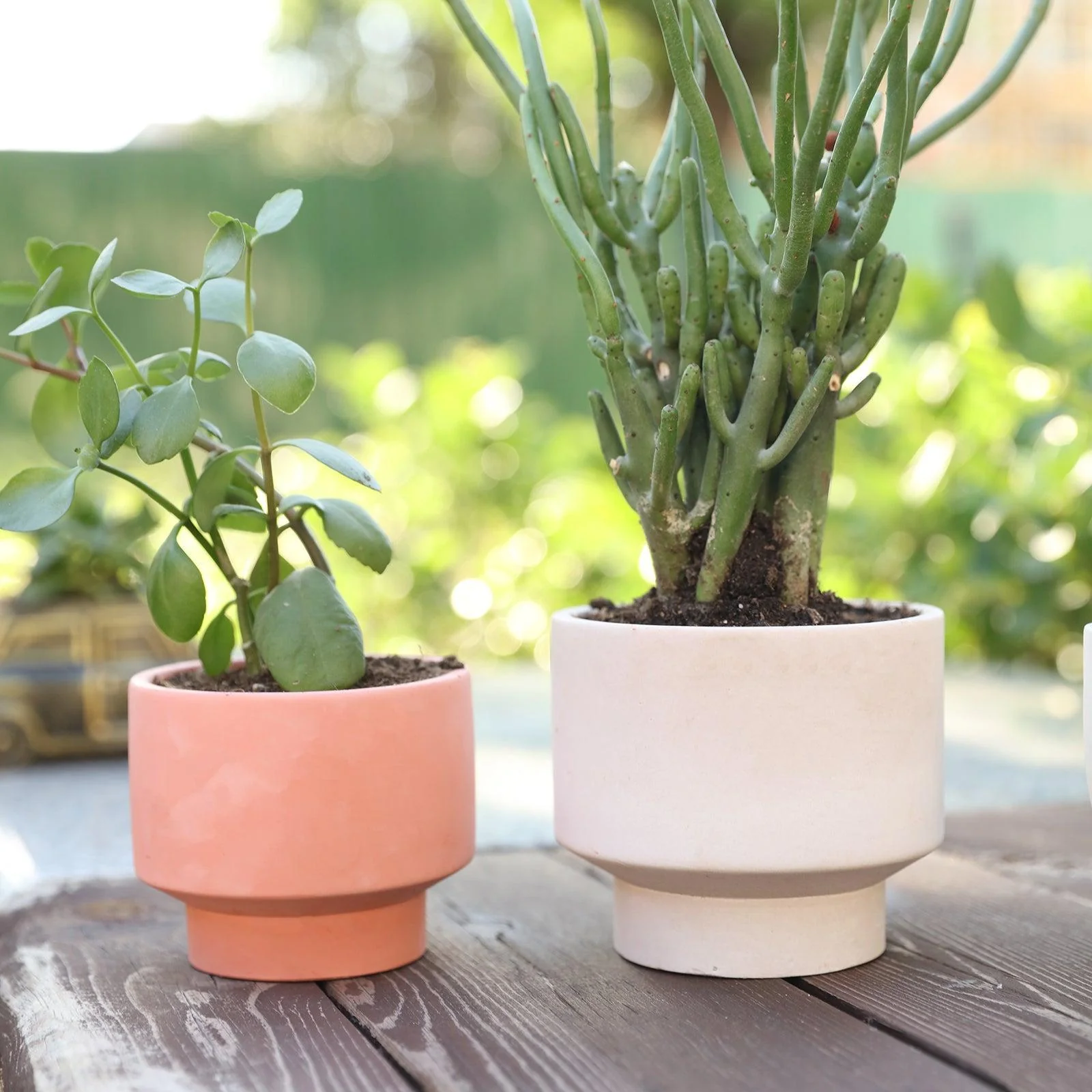 Bowl-shaped Concrete Plant Pot Silicone Mold - Ⅱ - Image 5