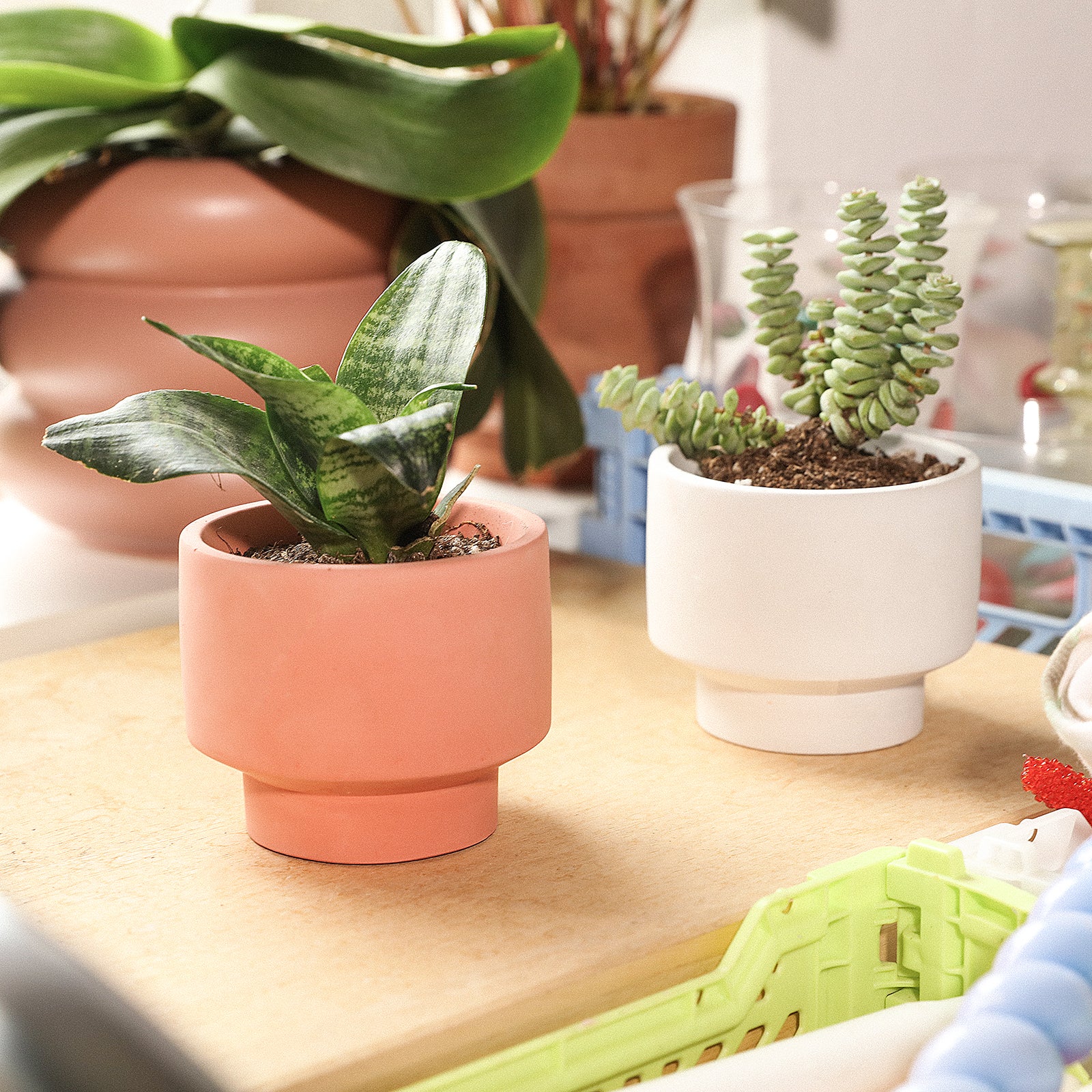 Bowl-shaped Concrete Plant Pot Silicone Mold - Ⅲ - Image 5