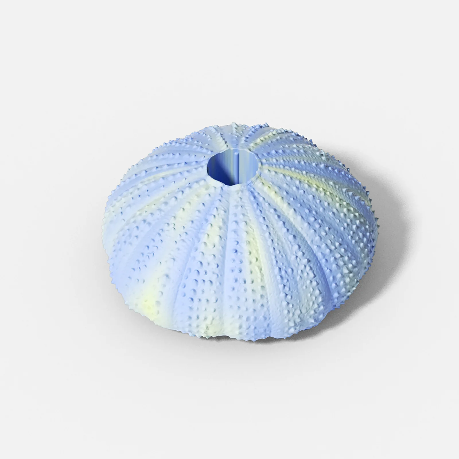 Sea Urchin Taper Candle Holder Silicone Mold