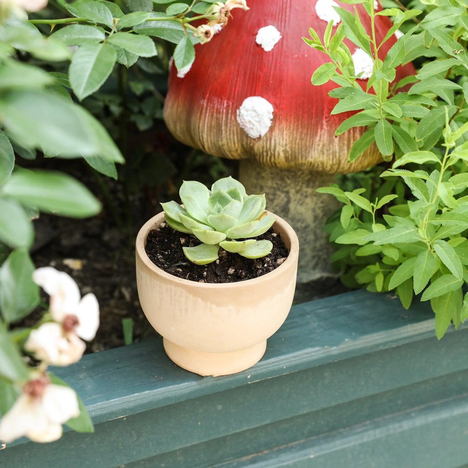 Bowl-shaped Concrete Plant Pot Silicone Mold - Ⅰ - Image 5